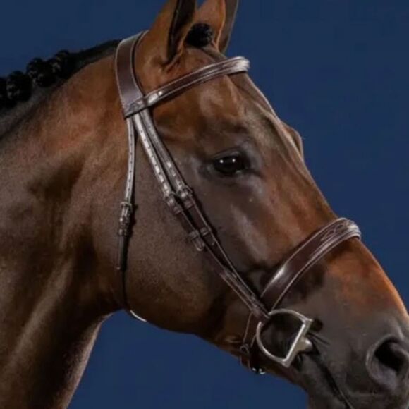 NWT Dy'on Fancy Stitched Cavesson Hunter Noseband Bridle In Brown - Picture 2 of 11